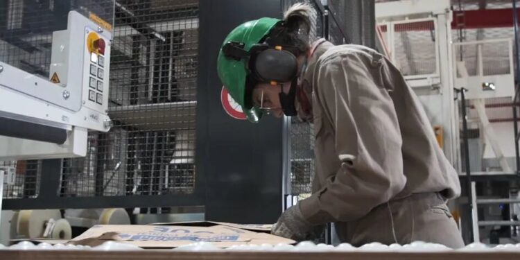 Puerto Leoni: fabrican bolsas de papel de última tecnología que exportan a varios países