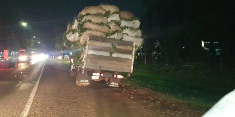 Atropelló con la moto ponchadas de yerba que cayeron de un camión en plena ruta 12
