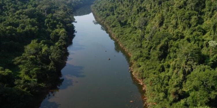 Misiones es la única provincia con porcentajes positivos de agua utilizable en suelo para cultivos