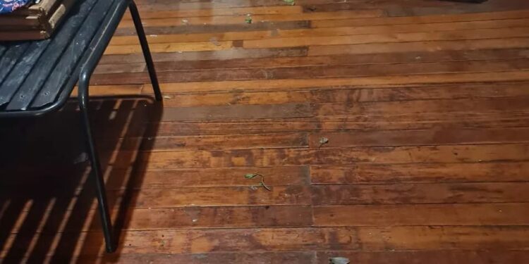 Inseguridad: Una vecina del km 9 de Eldorado vivió una noche de terror