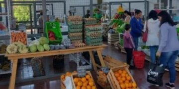 Eldorado: entregaron insumos y maquinaria a hortigranjeros