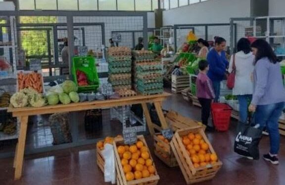 Eldorado: entregaron insumos y maquinaria a hortigranjeros