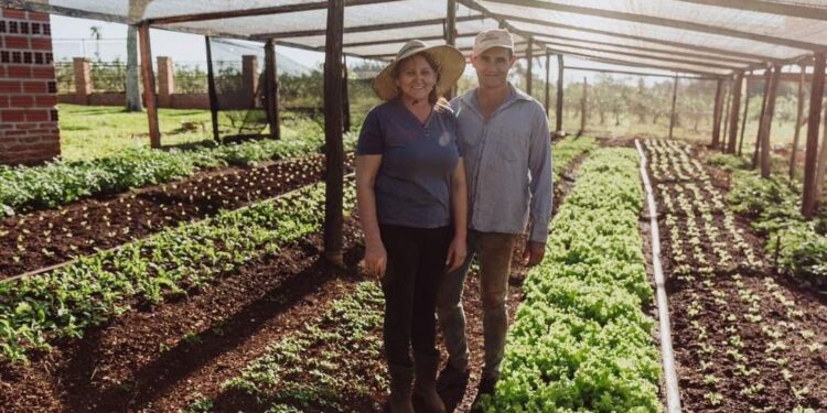 MISIONES MARCANDO EL RUMBO: NACION PROMULGÓ LA LEY QUE OTORGA BENEFICIOS FISCALES PARA LA PRODUCCIÓN ORGANICA