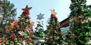 «Eldorado Brilla» embellece la ciudad con decoraciones navideñas