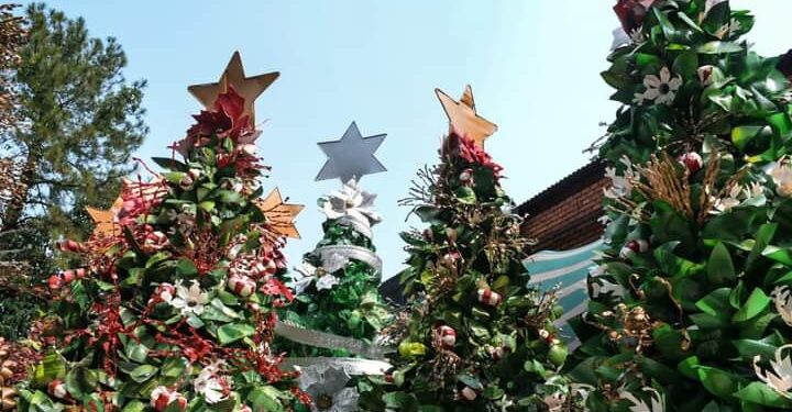 «Eldorado Brilla» embellece la ciudad con decoraciones navideñas