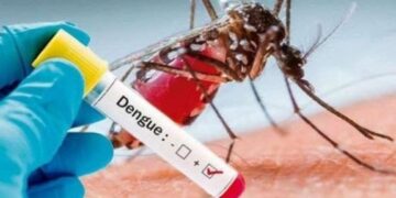 Eldorado: realizan tareas preventivas contra el Aedes aegypti