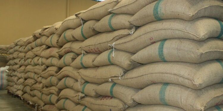 Milei derogó la ley que aseguraba el envasado de yerba en la región productora