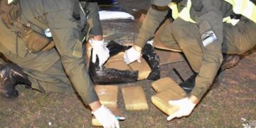 Detectaron un escondite y secuestraron marihuana