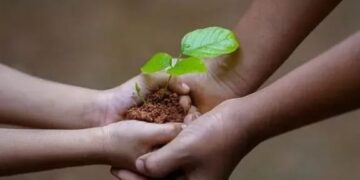 Eldorado: forman a docentes en educación ambiental