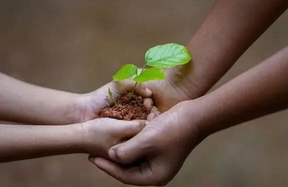 Eldorado: forman a docentes en educación ambiental