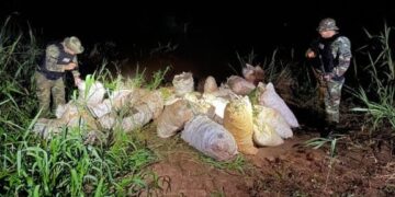 Operativo «Noche Verde»Prefectura incautó casi 500 kilos de marihuana en Eldorado