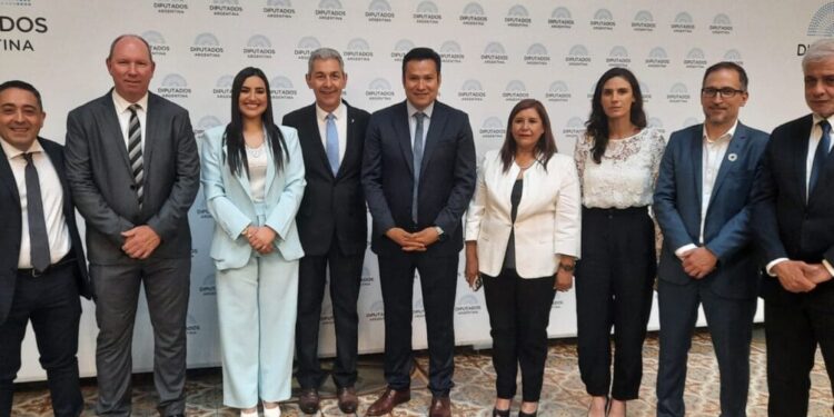 Innovación Federal integra las comisiones que analizarán la ley ómnibus