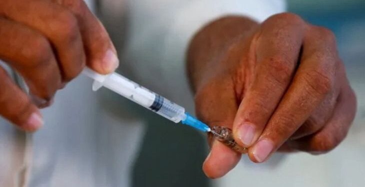 Misiones es la primera provincia del NEA en aplicar la vacunación gratuita contra el dengue