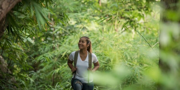 Misiones lidera las acciones para mitigar el cambio climático en el Noreste Argentino