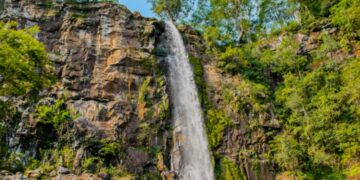 La Cámara de Representantes declaró al Arroyo Paca Área Natural Protegida