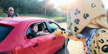 Iguazú se suma a la campaña de concientización para frenar el atropellamiento animal