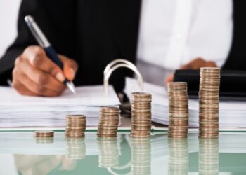 MISIONES INICIA 2025 CON DATOS ALENTADORES: LA ESTABILIDAD DE LA MACRO SERÁ CLAVE