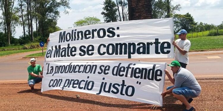 Misiones busca soluciones para la yerba mate y convoca a una Mesa Yerbatera Permanente